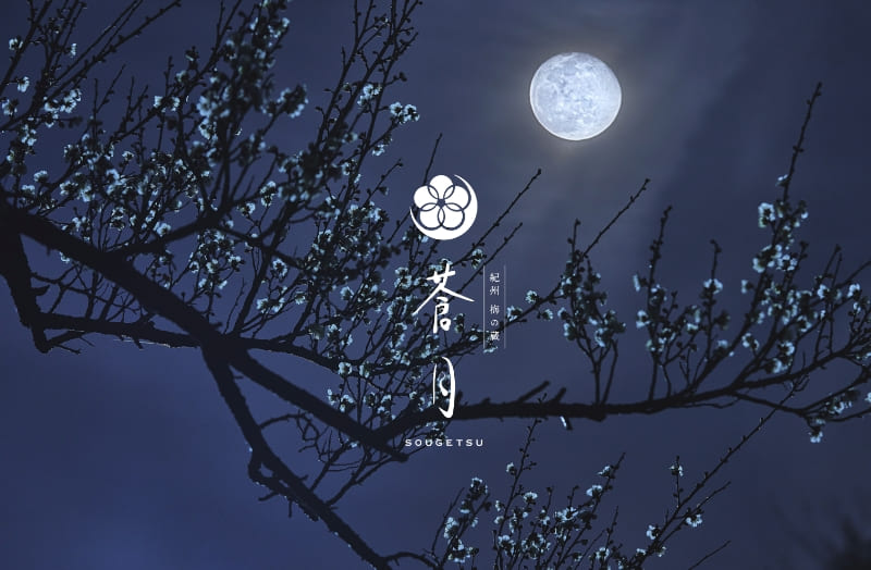 ブランディング・販促サポート